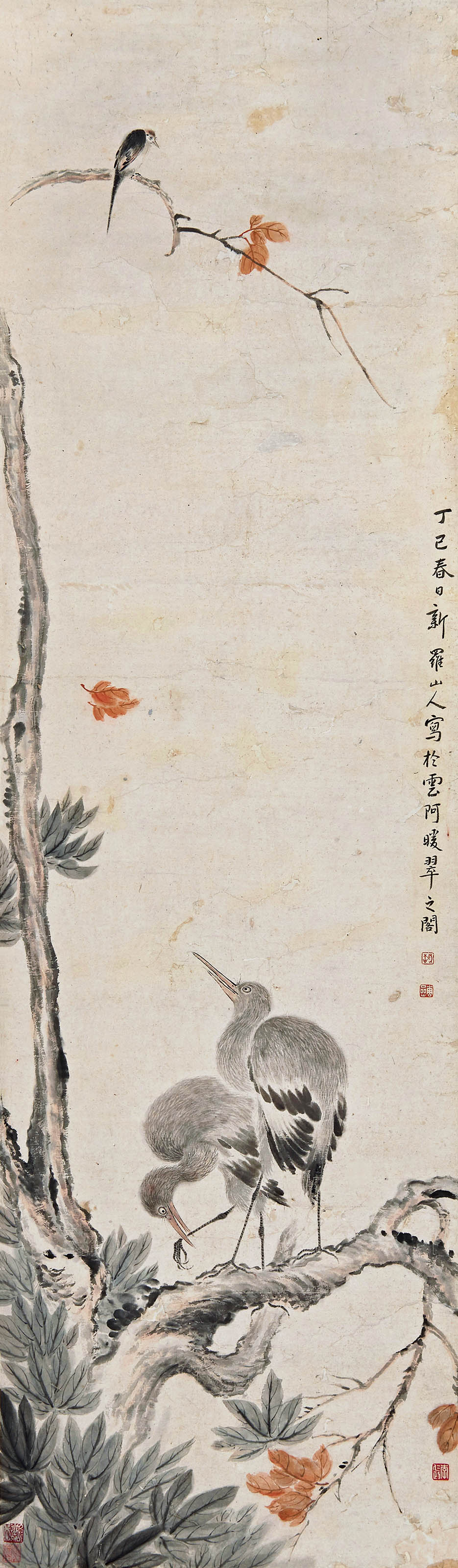 华嵒  枫飘禽讶