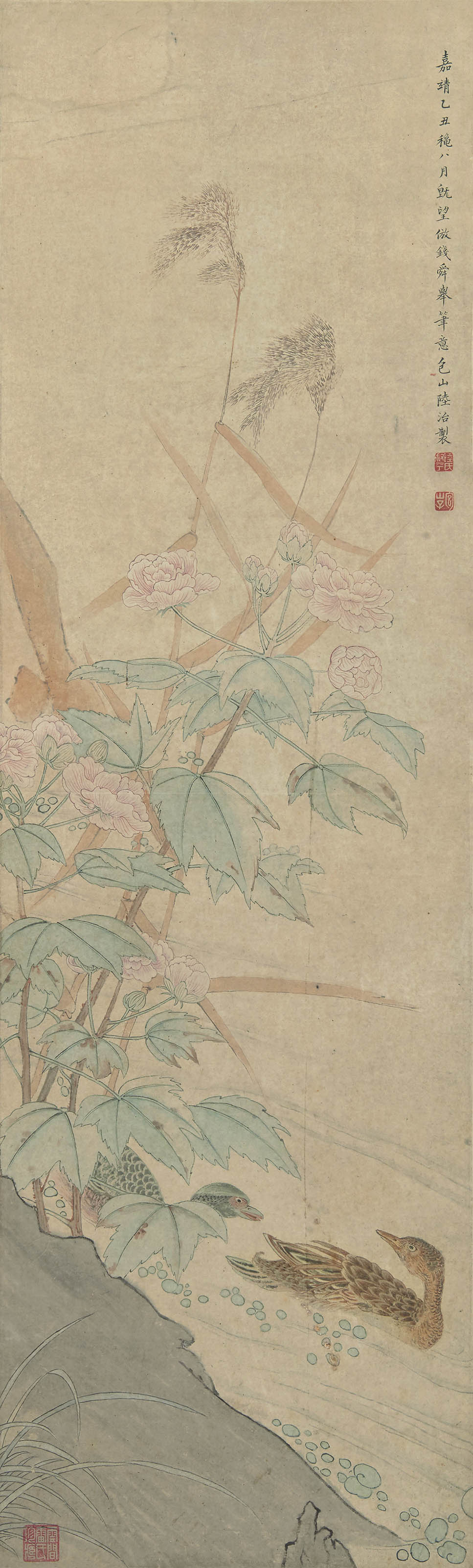 陆治  芙蓉双鸭