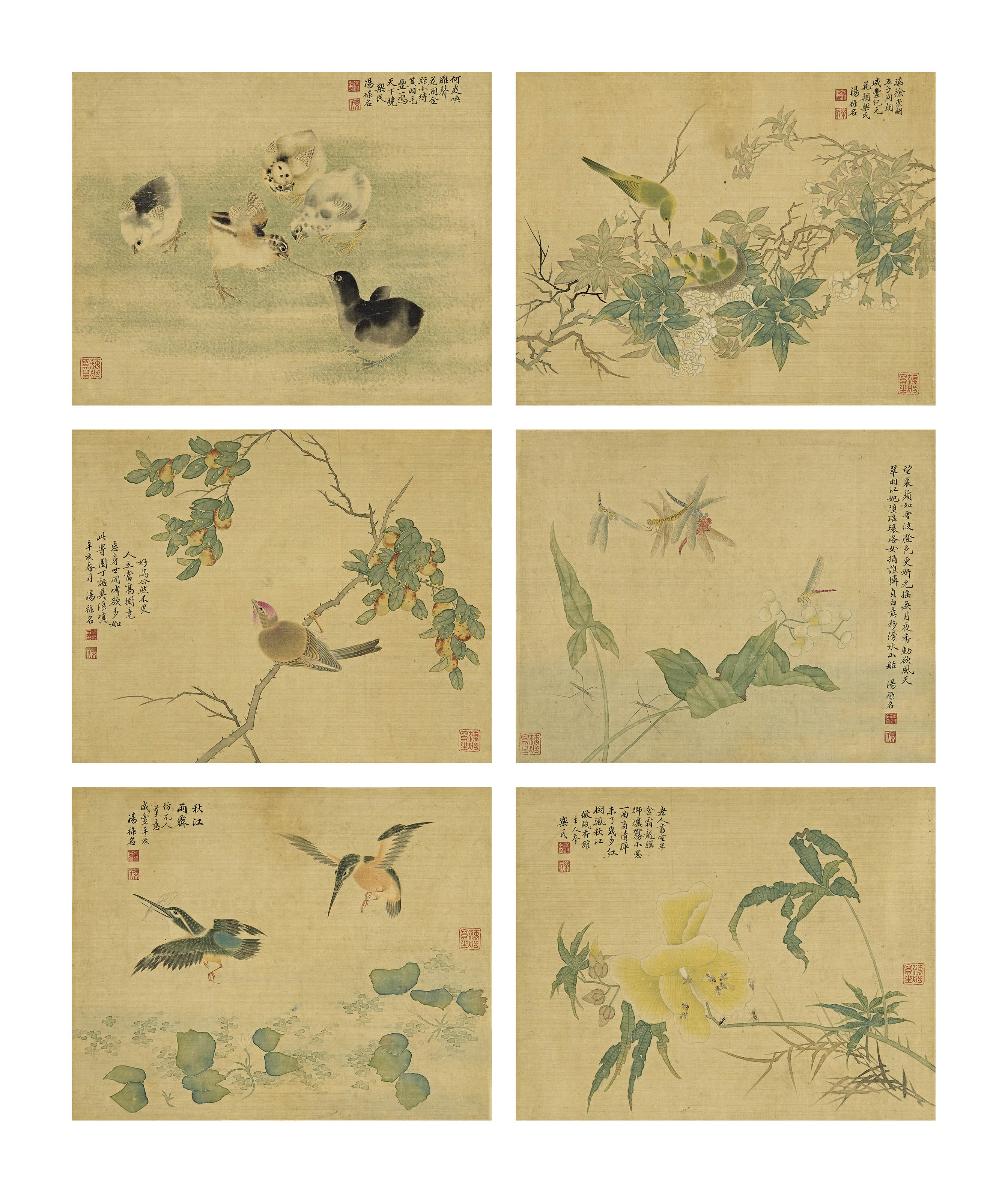 汤禄名  花鸟草虫册