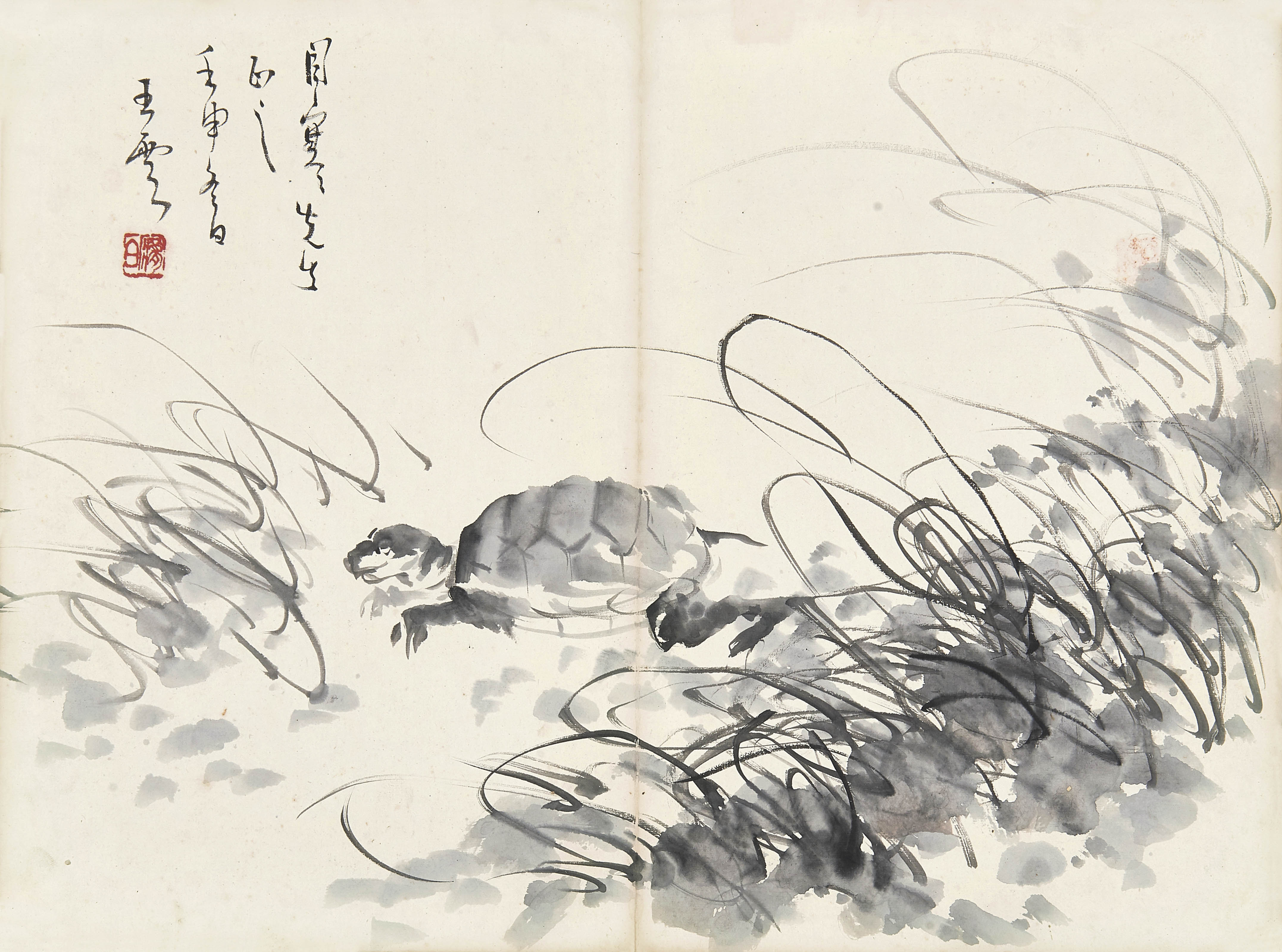 王云  龟寿