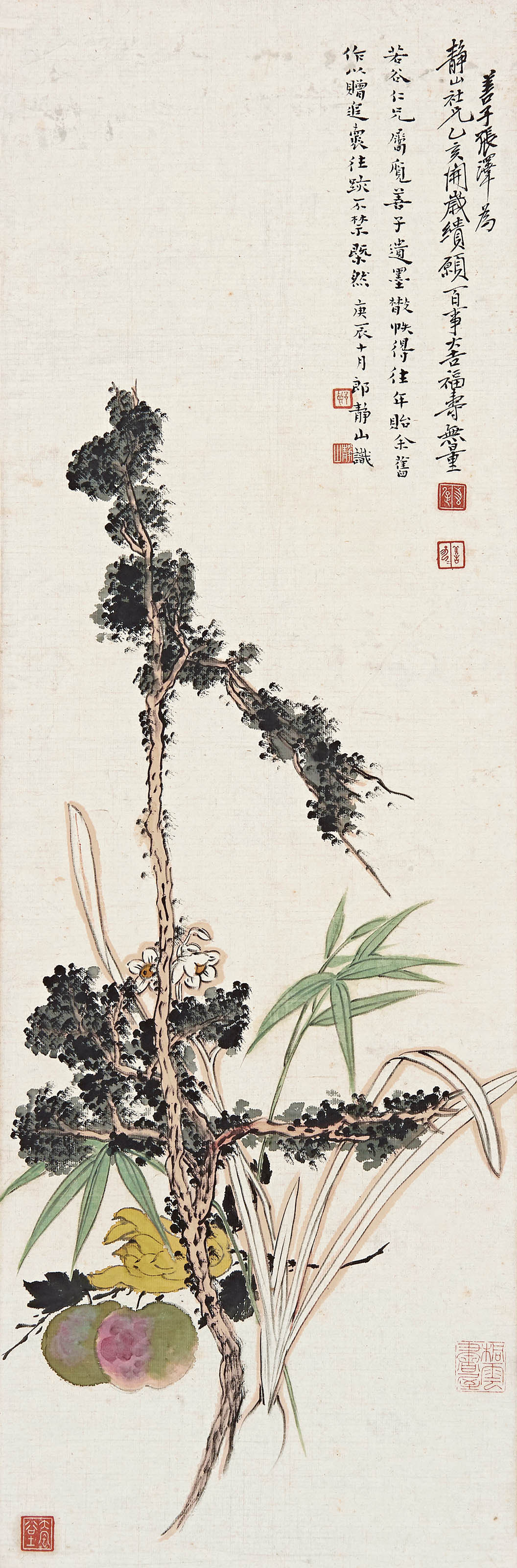 张善孖  百事大吉
